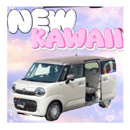 年末フェア開催！